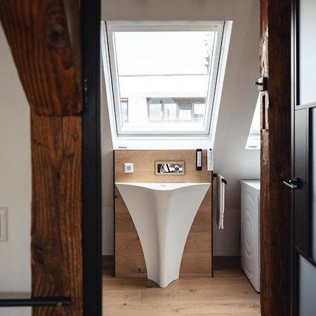 Historical Luxury Homes - Exclusive Selection Freiburg im Breisgau Kültér fotó